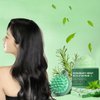 Rosemary Mint Scalp Scrub for Thinning Hair, Scalp Exfoliator Scrub Shampoo Promote Hair Growth, Scalp Treatment to Clarify and Remove Build Up with Silicone Scalp Massager, Itchy Scalp Relief