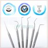 10 Pcs Oral Hygiene Kit Plaque Remover Professional Dental Picks Set for Teeth, Double & Single Ended Picks for Gum Care Cleaning Set Stainless Steel with Carrying Case