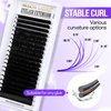 Arison Lashes Classic Lash Extensions Soft Lashes 20 Rows Mixed Tray C 12mm Curl 0.05 Thick Volume Pestañas Pelo a Pelo