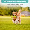 SPOT Fun Food Taco Plush Dog Toy with Squeaker - Interactive Soft, Squeaky Toy for Dogs and Puppies, Keeps Pets Entertained, Cute and Funny Chew Toy Made with Soft Fabric - 6in