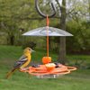 Nature's Way OFP1 All-in-One Oriole Buffet Bird Feeder, Orange