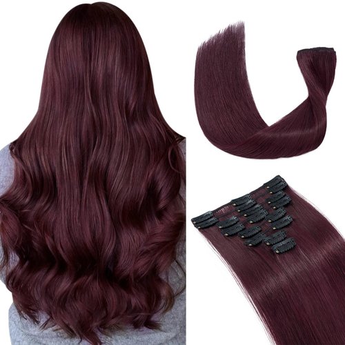 Hairro 16 Inch Clip in Human Hair Extensions 65g Thin 8 Pcs Clip on Human Hairpieces Standard Weft Soft Long Straight Hair for Women Gift #99J Wine Red