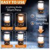 LED Camping Lantern Rechargeable, 1800LM, 4 Light Modes, 4400mAh Power Bank, IP44 Waterproof, Perfect Lantern Flashlight for Hurricane, Emergency, Power Outages, Home and More, with USB Cable (2 Pack)