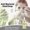 Sanit Silky Clean Antibacterial Liquid Gel Aromatic Hand Soap - Advanced Formula with Coconut Oil and Aloe Vera - Natural Moisturizing Hand Wash - Made in USA, White Tea, 8 oz, 3 Pack