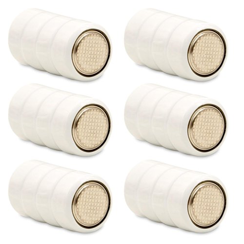 (6-Pack) Exell 6-Volt Silver Oxide Battery, EB-DC29, 155 mAh, 1 Aftermarket Dog Collar Battery fits DG-3000 Receiver, DG-5000 Receiver, DG-9000 Receiver, DG9XT Receiver, DRY6011, PSA60SO-AP