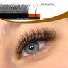 KOLYBEL YY Eyelashes Extension Lashes Y Shaped 0.07mm D Curl 8-15mm Mixed Tray Lash Extension Easy Premade Fans 2D Soft Matte Black Volume Lashes Supply(YY,0.07-D-8-15mm)