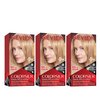 Revlon Permanent Hair Color, Permanent Hair Dye, Colorsilk with 100% Gray Coverage, Ammonia-Free, Keratin and Amino Acids, 73 Champange Blonde, 4.4 Oz (Pack of 3)