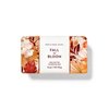 Bath & Body Works Fall in Bloom Shea Butter Cleansing Bar Soap 4.2 oz (Fall in Bloom), Count : 1