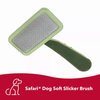 Coastal Pet Safari Dog Soft Slicker Brush - Dog Grooming Brush for Shedding - for Dogs with Short, Medium and Long Hair - Medium - 6.25" x 3.5"