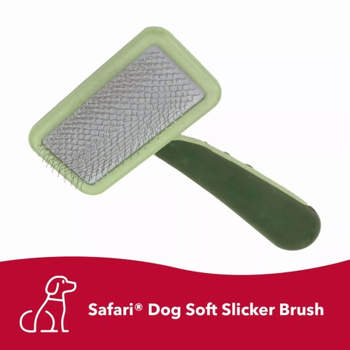 Coastal Pet Safari Dog Soft Slicker Brush - Dog Grooming Brush for Shedding - for Dogs with Short, Medium and Long Hair - Medium - 6.25" x 3.5"