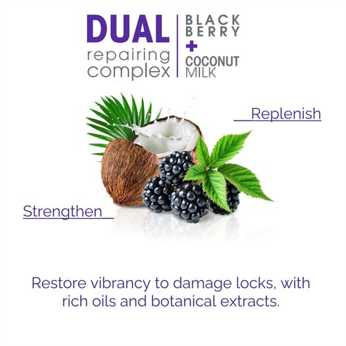 GIOVANNI 2chic Ultra-Repairing Shampoo Set - For Damaged, Over-Processed Hair, Helps Restore Hair's Natural Elasticity, Blackberry & Coconut Oil, Argan, Shea Butter, Color Safe - 8.5 oz Each