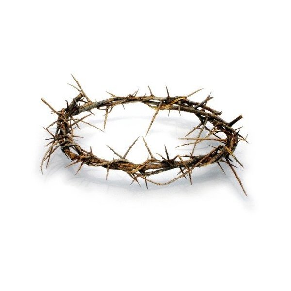 Passion of Christ Crown of Thorns/Authentic Crown of Thorns Comes in Gift Box with Description