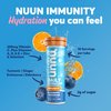 Nuun Hydration Immunity Electrolyte Tablets With 200mg Vitamin C, Blueberry Tangerine + Orange Citrus Flavors, 5 Essential Electrolytes for Hydration, Vegan, Non-GMO, 4 Pack (40 Servings)