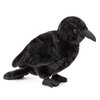 Frankiezhou Home Crow Stuffed Animals - Realistic Standing Black Raven Plush Toy 10inch, Soft Plush Toy Crow Wild Animal Dolls, Cute Little Bird Raven Plush as Gift for Your Friends