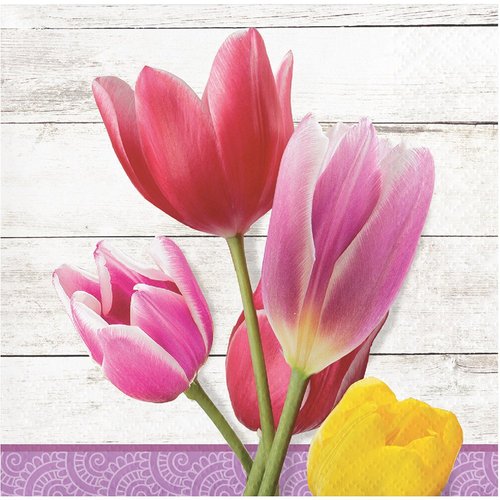 Creative Converting 327239 Beverage Napkins, Multicolor