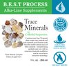 Morter Trace Minerals in Colloidal Suspension (3 Pack) Morter HealthSystem Best Process Alkaline — Nutrient Dense Trace Elements, Fulvic Minerals & Amino Acids