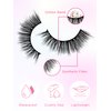 Cat-Eye Lashes Wispy Eyelashes 18mm Fox Eye Lashes Angel Wing Lashes Faux Mink False Eyelashes Natural Look 5 Pairs pack (5P-B23)