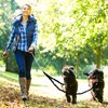 2 Dog Leash, 360° Swivel No Tangle Double Dog Walking & Training Leash, Comfortable Shock Absorbing Reflective Bungee Lead Walk 2 Dogs with Ease