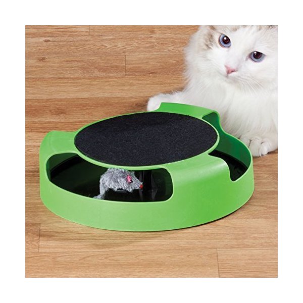 Catch the Mouse Motion Cat Toy Incredibly Fun to Play With and Amusing to Watch