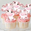 Pink Cow Cupcake Toppers Decorations 24pcs Cow Birthday Cupcake Toppers Decorations Cow Theme Birthday Party Decorations for Girls Farm Animal Theme Birthday Party Baby Shower Supplies