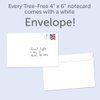 Tree-Free Greetings - All Occasion Cards - Artful Designs - 12 Greeting Cards + White Envelopes - Made in USA - 100% Recycled Paper - 4 x 6 - Sunshine Season (FS54317)