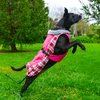 Doggie Design Alpine All-Weather Dog Coat with Reflective Night Safety Straps and Trim - Tough, Thick Warm Fleece Interior and Waterproof Outer Polyester - Raspberry Plaid (M)