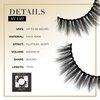 Lilly Lashes Click Magnetic Eyelashes - Miami Magnetic Faux Mink Lashes for a Natural Look - False, Wispy Magnet Eyelashes - Vegan Makeup Lash Extension - Magnetic Eyelashes Without Eyeliner