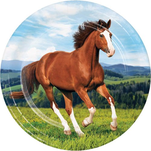 Horse and Pony Birthday Party Supply Pack! Bundle Includes Paper Plates and Napkins for 8 Guests