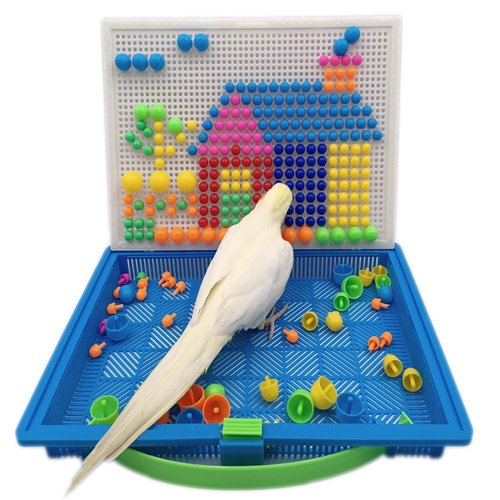 CIEZZU Bird Toys for Parakeets, Parrot Foraging and Chewing Toys for Small & Medium Birds, Colorful and Durable Cockatiel Toys, Suitable for Lovebirds, Finch, Parakeets, Budgerigars, Conure, Cockatiel
