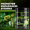 FXSUPPS Amino Hero Sour Ice Flavor (50 Servings) | Post-Workout Recovery Drink for Men and Women | Energy Powder Mix with BCAA, EAA, and Electrolytes | Promotes Endurance and Healthy Muscles - 2 Pack