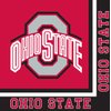 Creative Converting Ohio State University 2-Ply Lunch Paper Napkins, 16 Ct, 6.5", Multicolor