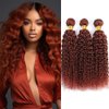Reddish Brown Curly Weave Human Hair Bundles Color 33 Human Hair Copper Red Brown Kinky Curly Bundles Double Weft Remy Hair Extensions Wet and Wavy Bundles Silky and Soft 26 28 30 Inch