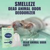 SMELLEZE Dead Animal Odor Eliminator for Strong Odor Removal - Eliminate Dead Rodent & Wildlife Smell - Safe Indoor & Outdoor Use, Natural Odor Remover, Fresh & Effective - 1 Pouch.