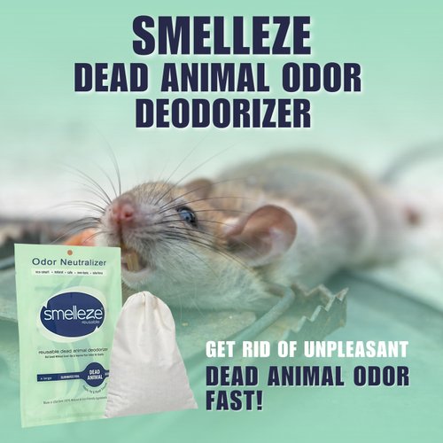 SMELLEZE Dead Animal Odor Eliminator for Strong Odor Removal - Eliminate Dead Rodent & Wildlife Smell - Safe Indoor & Outdoor Use, Natural Odor Remover, Fresh & Effective - 1 Pouch.