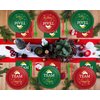 30 Guests Christmas Party Supplies Paper Plates Napkins Forks Tableware Set Disposable Holiday Seasonal Xmas Party Team Nice Dinner Dessert Plate Decoration for Kids Children,90Pcs
