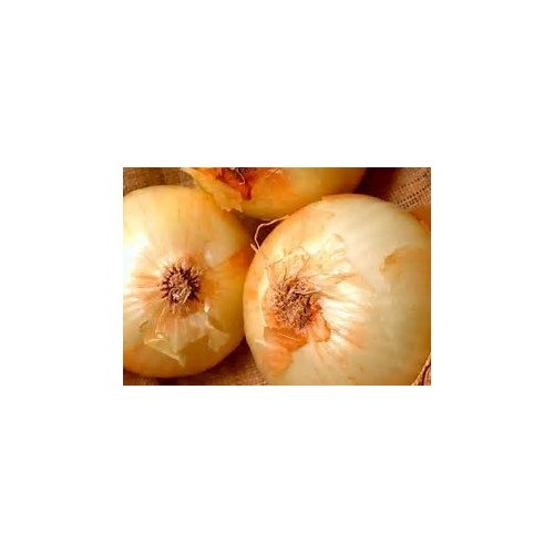 VIDALIA ONIONS SWEET FRESH PRODUCE PER POUND
