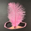 XKTEI 2pcs Feather Headdress,Sequins Headband,1920s Flapper Headpiece,Carnival Party Headwear,Costume for Gatsby Theme Party,Mardi Gras Feather Headband (Pink-1)