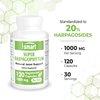 Supersmart - Super Harpagophytum 1000mg per Day (High Strength) - Devil's Claw Herbal Supplement | Non-GMO & Gluten Free - 120 Vegetarian Capsules