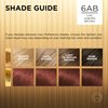 L'Oreal Paris Superior Preference Fade-Defying + Shine Permanent Hair Color, 6AB Chic Auburn Brown, Pack of 1, Hair Dye