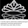 Princess Tiara Comb, 2PCS Mini Crown Rhinestone Hair Comb, Flower Girls Crystal Rhinestone Crown Hair Comb Hair Accessories(silver)