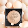 OCHEAL Mushroom Head Air Cushion BB Cream Foundation Cream for Face Makeup Concealer Cushion for Face Comestics Make Up Cushion Compact Natural
