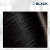 Clairol Permanent Root Touch-Up, 003 Black [pack of 2] ,1 ea