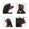 Realistic Wild Life Jungle Animal Figures Model Black Bear Family Playset Eduactional Toys Playset Figurine Statue Classroom Desktop Decoration for Kids Toddler Party Supplies(5 pcs)