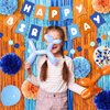 Boy Birthday Decorations, Blue Birthday Supplies, Light Blue Navy Brown Tan Orange Banner, Fringe Curtain, Boho Balloons, Pom Poms Backdrop