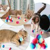 cobee 50 Pcs Soft Cat Toy Balls, 1.2 Inch Rainbow Cat Pom Pom Balls Toy Fuzzy Interactive Cat Ball Quiet Kitten Play Toy for Indoor Cat Exercising