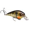 Strike King (HCKVDS1.0-680) KVD Square Bill 1.0 Fishing Lure, 680 - Yellow Perch, 1/4 oz, Unique Action