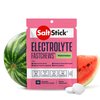 SaltStick Fastchew Electrolyte Replacement Tablets for Rehydration, Packet of 10 Tablets, Watermelon, 10 Count
