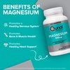 Qunol Magnesium Glycinate Capsules 420mg, High Absorption Magnesium Supplement, Extra Strength, Bone and Muscle Health Supplement, 120 Count