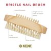 Kent NB3 Natural Bristle Fingernail Brush and Hand Scrub Brush for Nails. Beechwood Finger Nail Brush to Clean Nails and Nail Scrubber Brush for Hands, Feet, Fingernails, and Toenails. Made in England