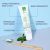Natural Fluoride Free Toothpaste - Nano Hydroxyapatite, Remineralizing, Sensitive Teeth, Whitening & Zero Waste Tube - Dentist Recommended for Adult & Kids Oral Aloe Vera & Chamomile (Single, Aloe)